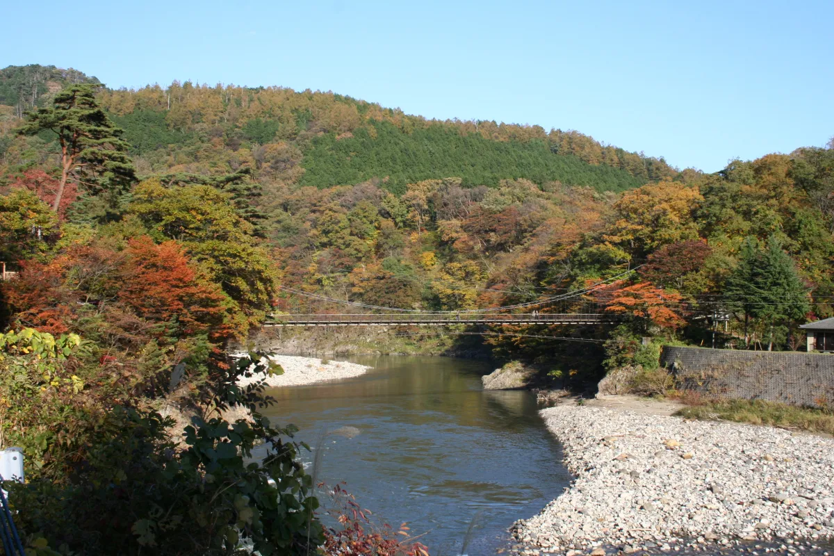 遠景の紅葉