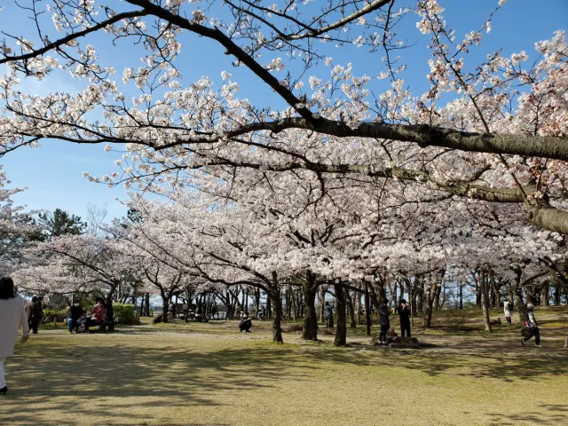 鳥屋野潟公園鐘木地区