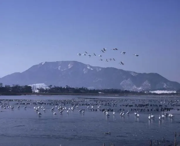 ラムサール条約登録湿地「佐潟」