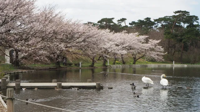 お幕場・大池公園