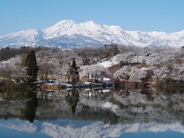 松ヶ峯周辺の桜と妙高山
