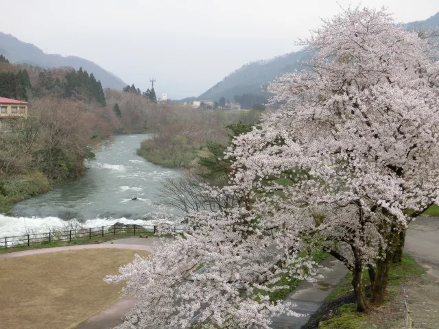 樽ケ橋