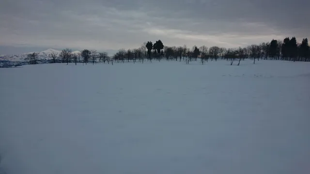 雪原（おぢやクラインガルテンふれあいの里）