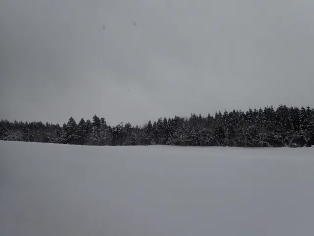 牧草地・雪原