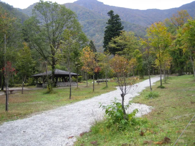五十沢キャンプ場