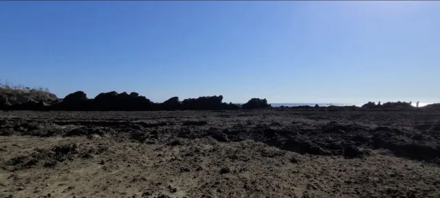 宿根木の隆起波食台