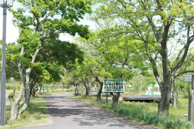 海辺の森キャンプ場