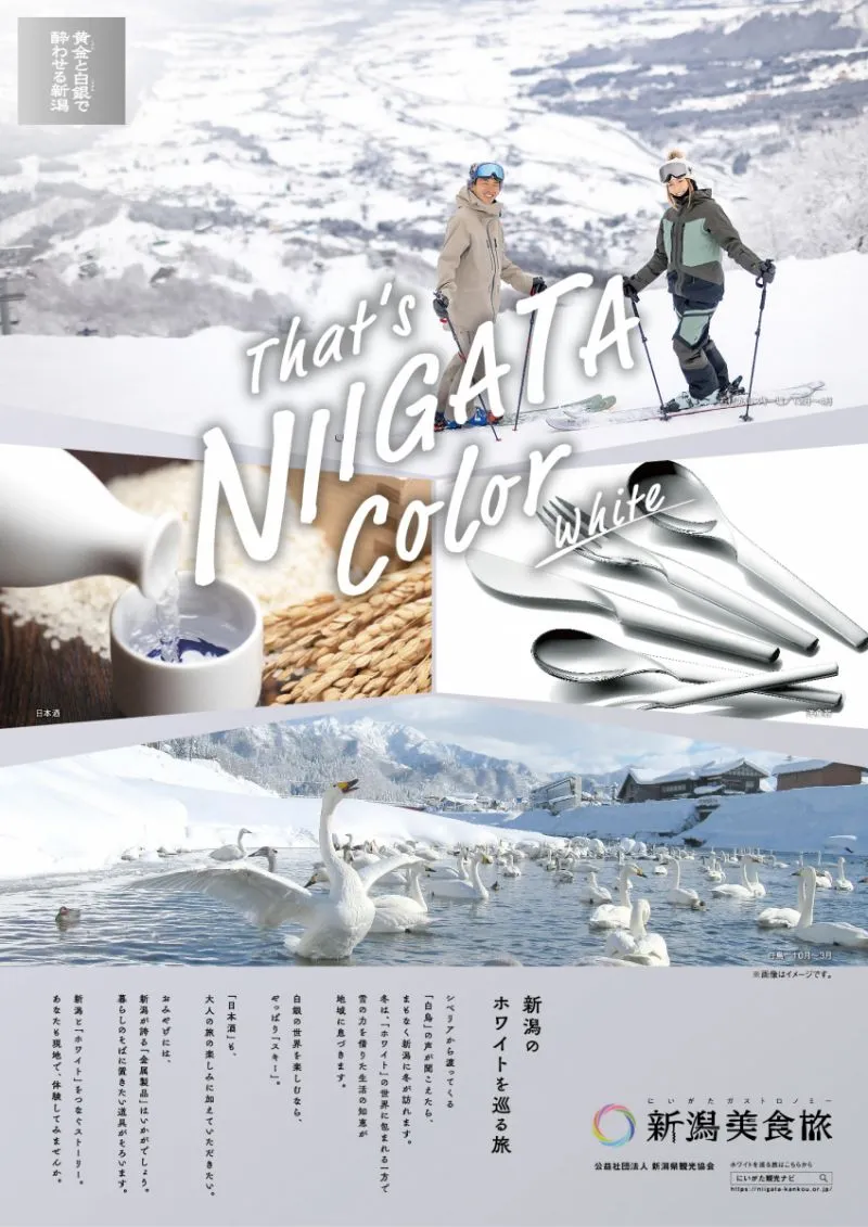 That's Niigata Color White