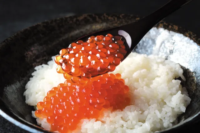 秋名物「はらこ丼」！鮭のまちで旬を味わう旅へ