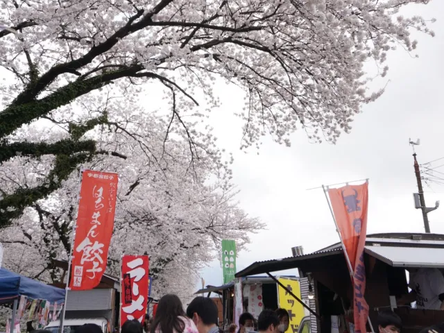 阿賀野市桜まつり