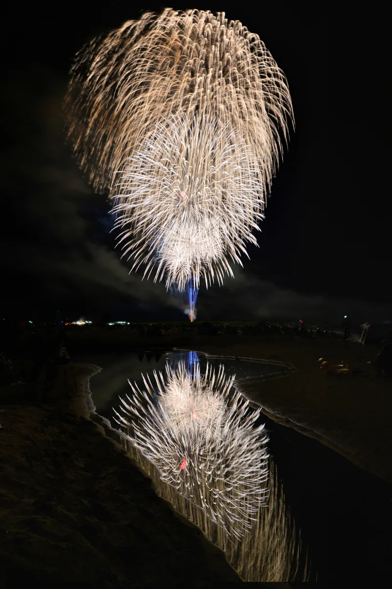海で花開く美しい花火