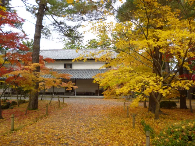 紅葉の見頃