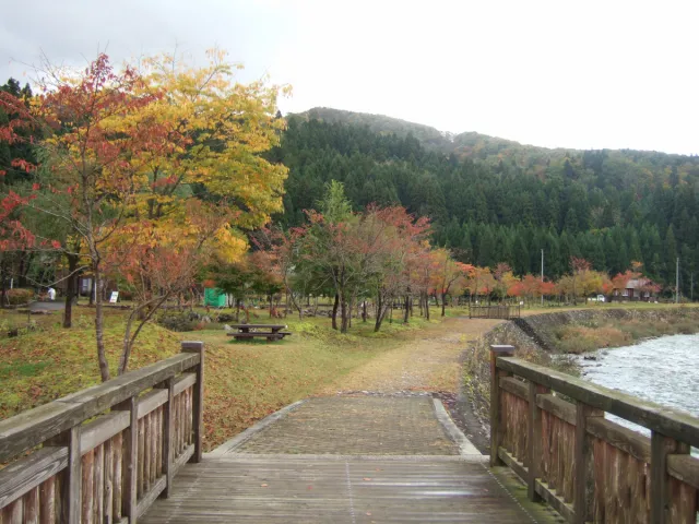 紅葉の見頃