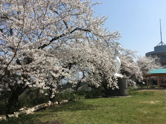 秋葉公園