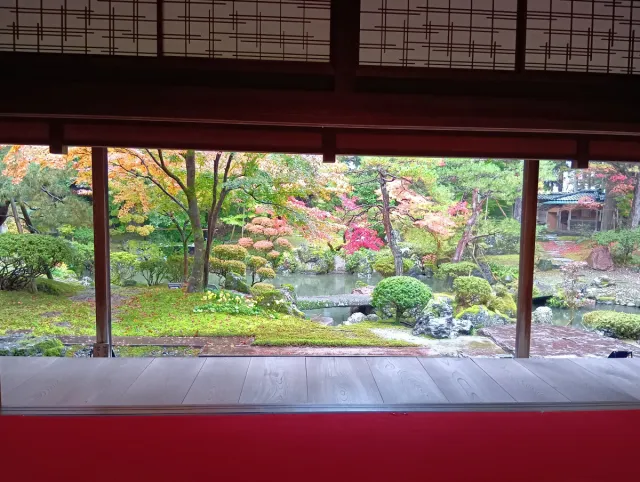 紅葉の見頃