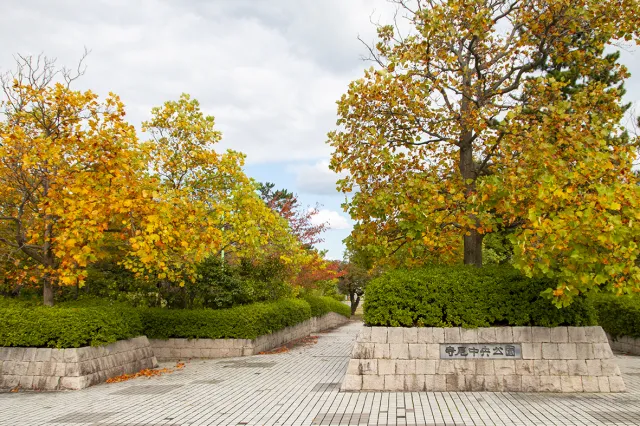 寺尾中央公園