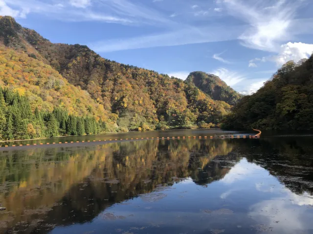紅葉の見頃