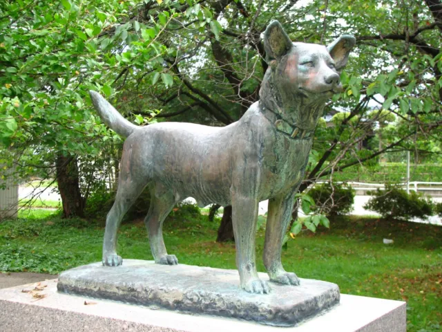 忠犬タマ公像