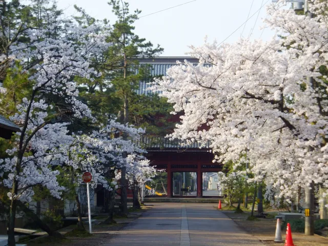 法華宗総本山 本成寺