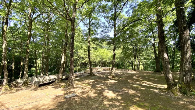 グリーンスポーツセンター【キャンプ場】