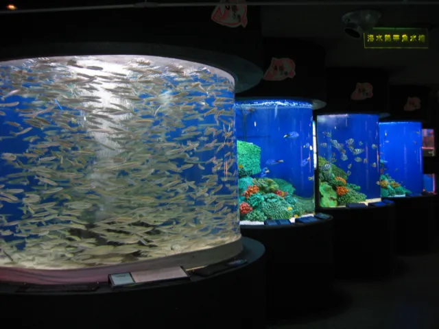 寺泊水族博物館