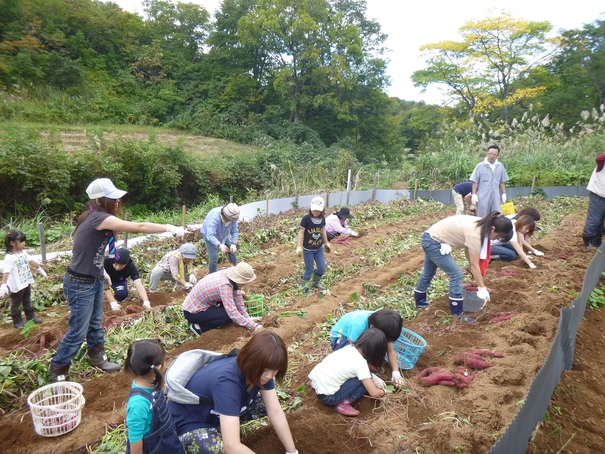 道院高原キャンプ場