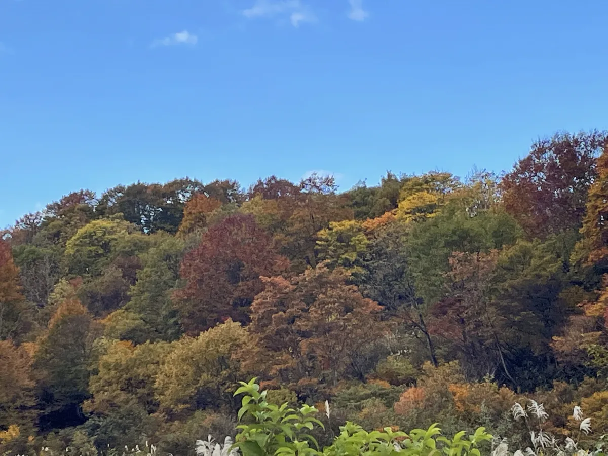 道院高原キャンプ場