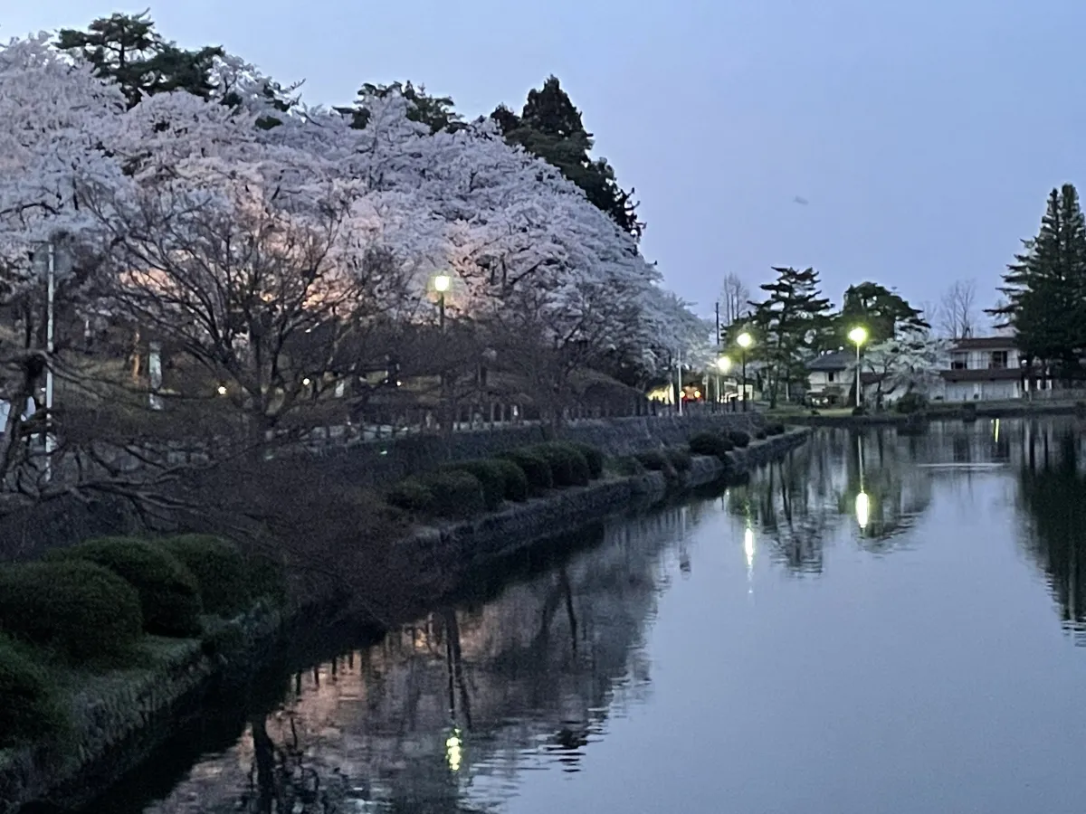 泉水池周辺