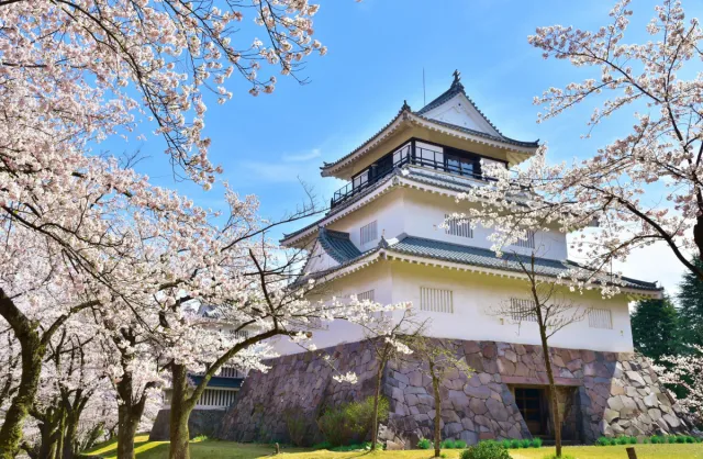 悠久山公園