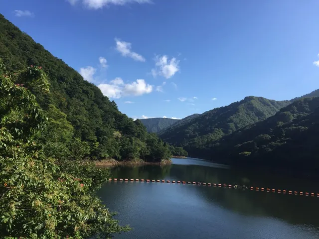 谷根ダム