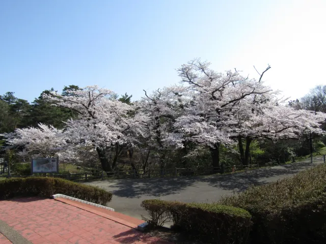 赤坂山公園
