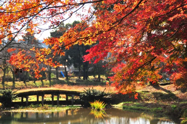 船岡公園