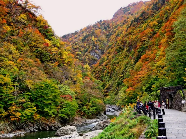 紅葉の見頃