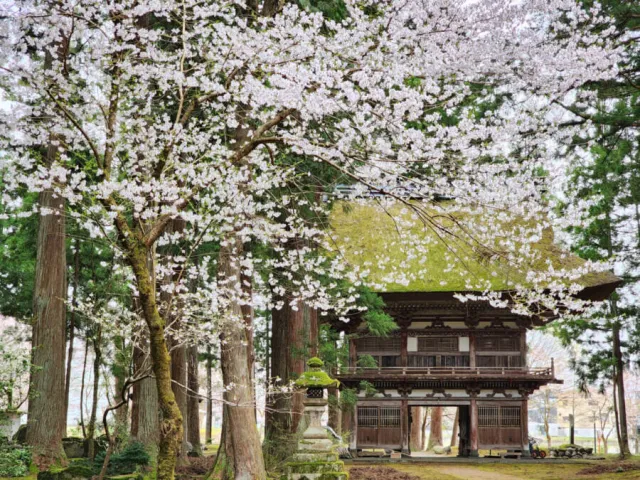 神宮寺観音堂・山門