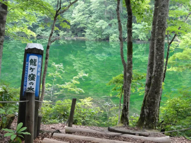 龍ヶ窪の池