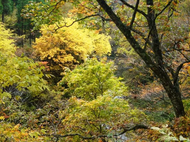 山熊田渓谷