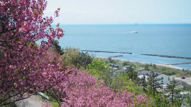 諸上寺公園