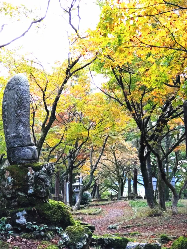 湯沢観音公園