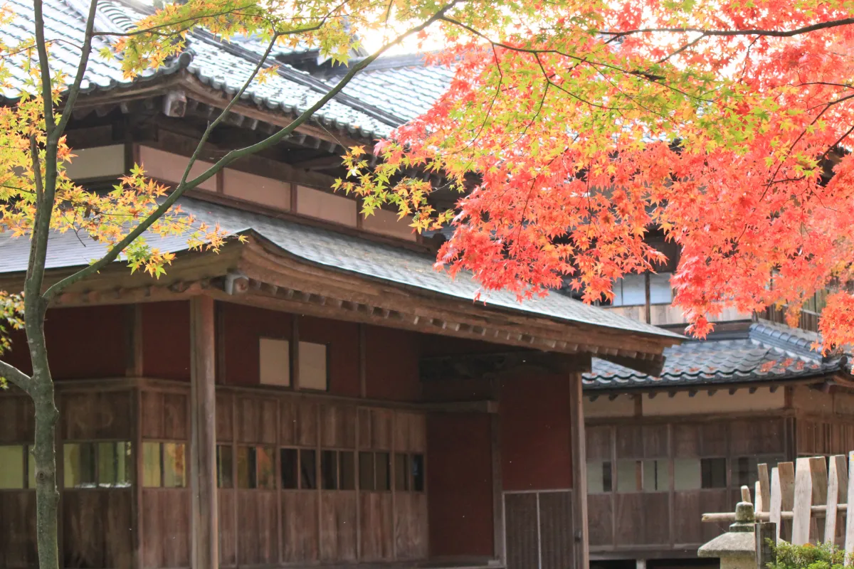 紅葉の美しい庭園も見どころ。隠れた紅葉スポットだ。