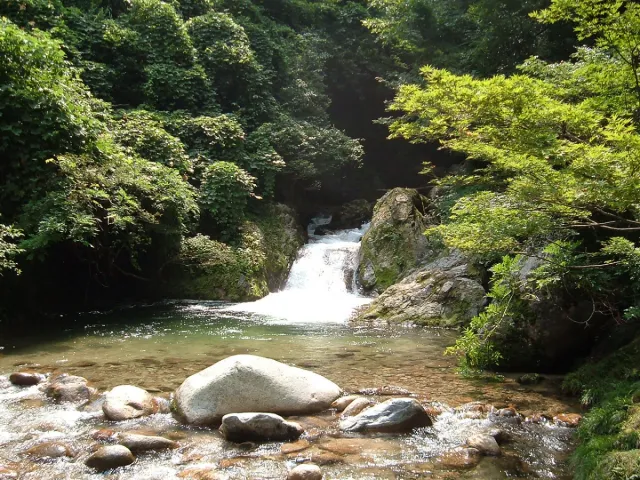 魚止めの滝