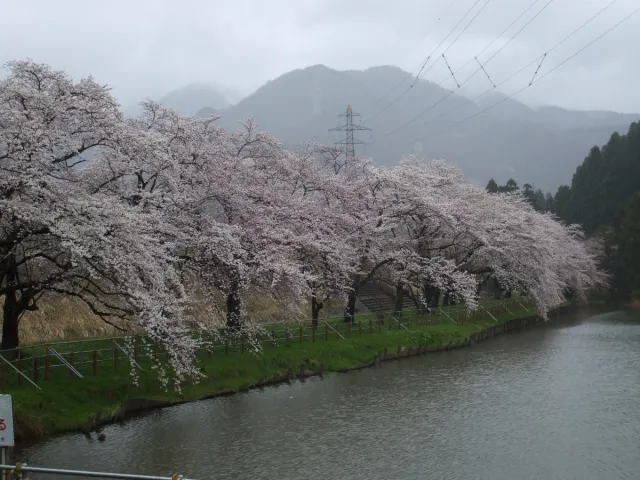 久保山水きん公園