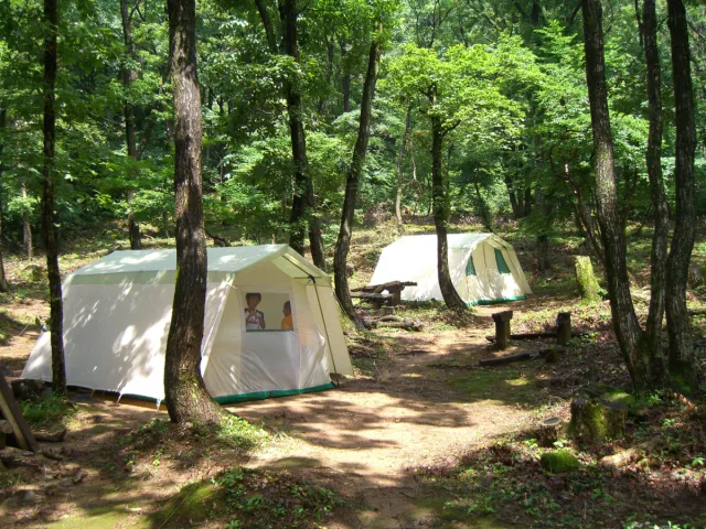 どんぐりの森 キャンプ場