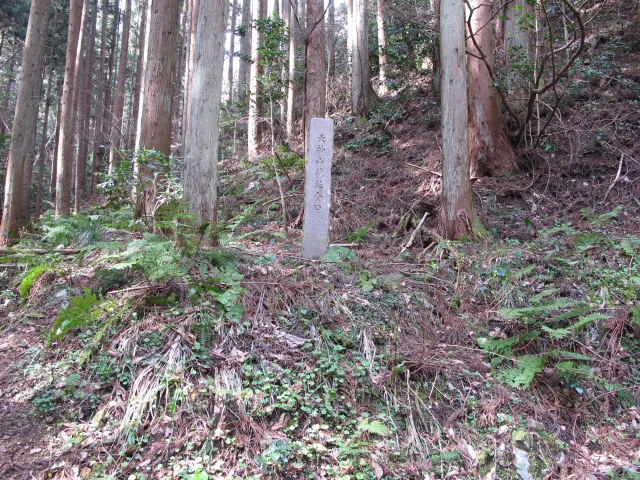天神山城址
