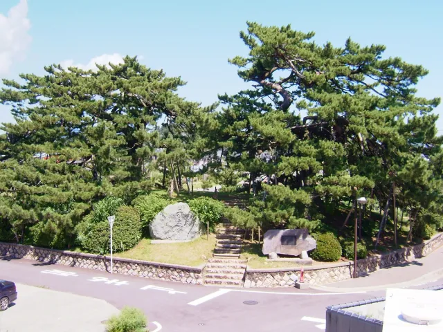 矢作の二本松