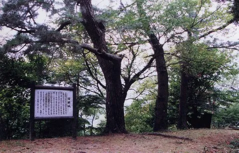 桔梗城址