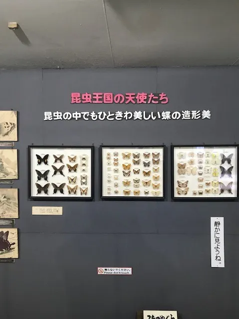 弥彦山頂資料館