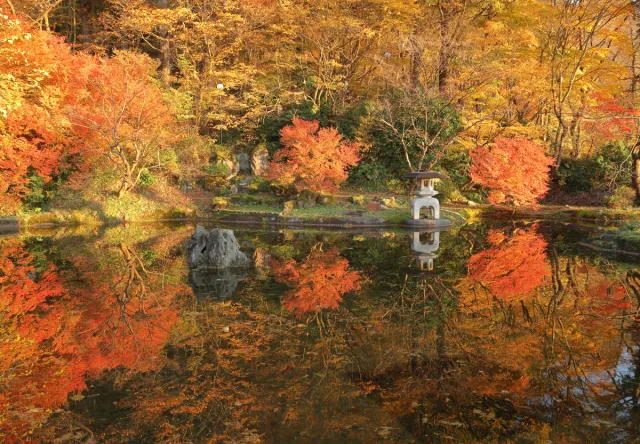 紅葉の見頃