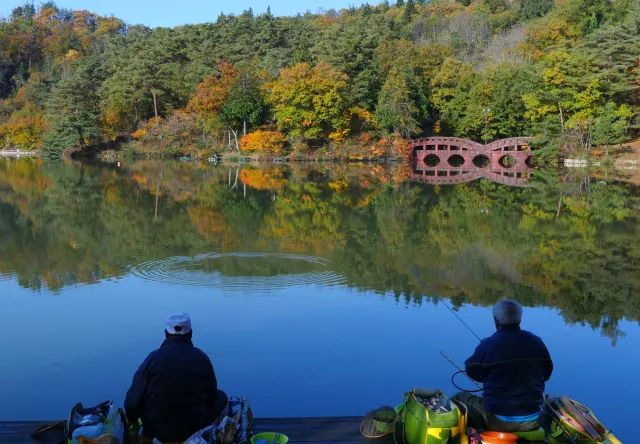 大平森林公園【キャンプ場】