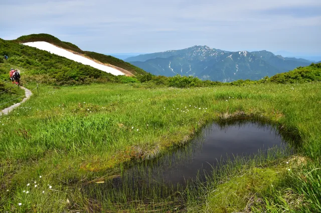 浅草岳・ムジナ沢登山口