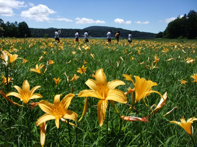 尾瀬国立公園